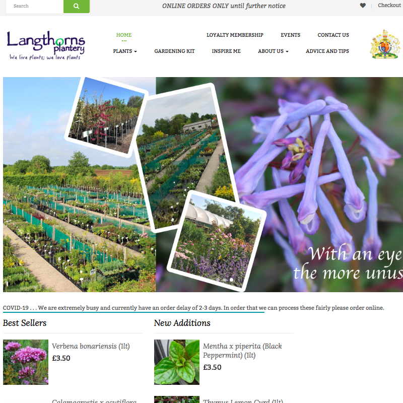 subbanner-01 subbanner-01