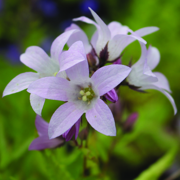 subbanner-01 subbanner-01