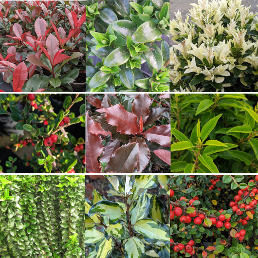 subbanner-01 subbanner-01