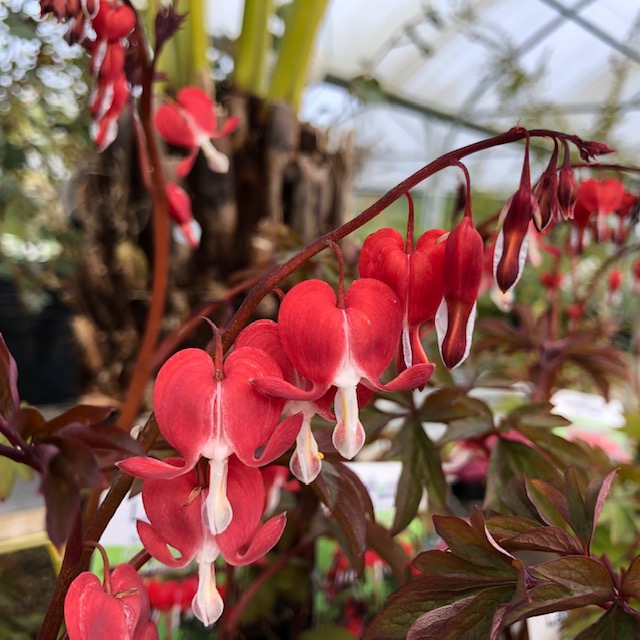 subbanner-01 subbanner-01